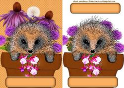 Hedgehog Love