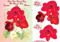 Amaryllis Flower
