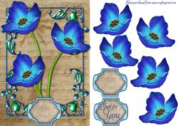 Blue Poppy