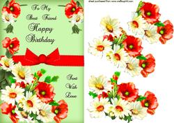 Poppies and Daisies