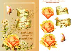 Birthday Love