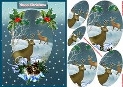 Reindeer