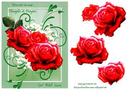Get Well Roses