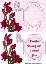 Special Mum