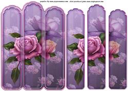 Lilac Rose