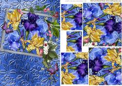 Framed Irises