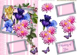 Flowers and Lace