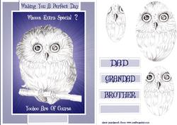 Owl Baby