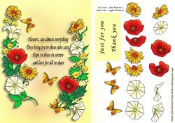 Colourful Posey and Words