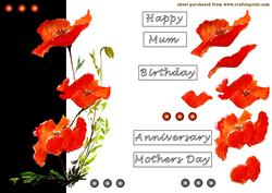 Hand Painted Poppys