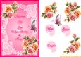 Lace and Roses Pink