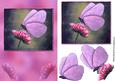 Butterfly Dreamer 2