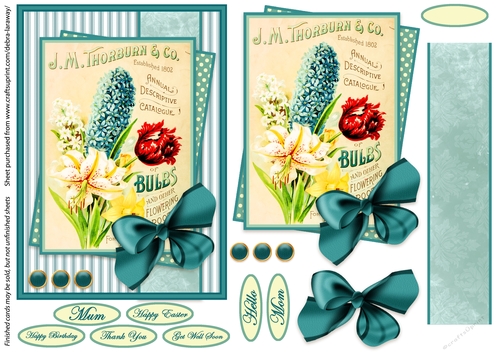 seed packet 6, vintage, gardening, mothers day, Easter, get well, all occasion, flowers, mom, mum, birthday