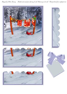 Santa Suit on the Washline - Main Image