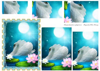 Moonlit Swan and Lily Stamp Pyramid
