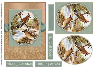Seasonal Birds 1