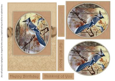 Seasonal Birds 3