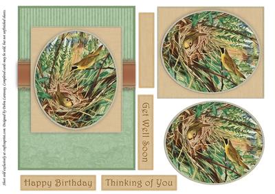 Seasonal Birds 14