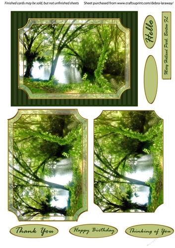 Mary Holland Park Scenic Quick Card B