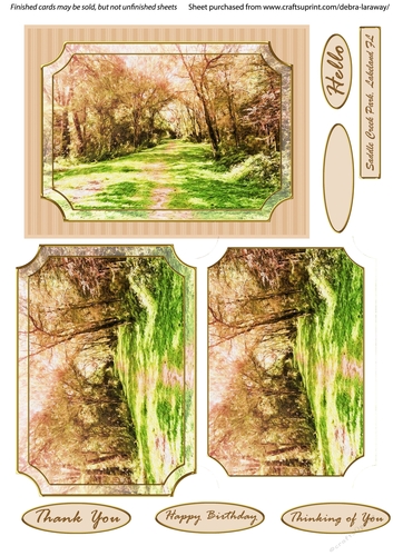 Saddle Creek Park Scenic Quick Card A