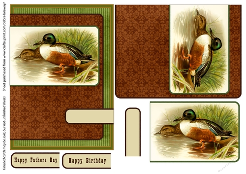 Shoveler duck sportsman birds outdoors fathers day birthday card for men