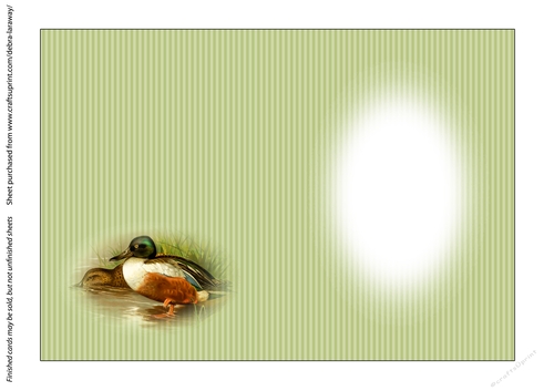 Shoveler duck sportsman birds outdoors fathers day birthday card for men insert