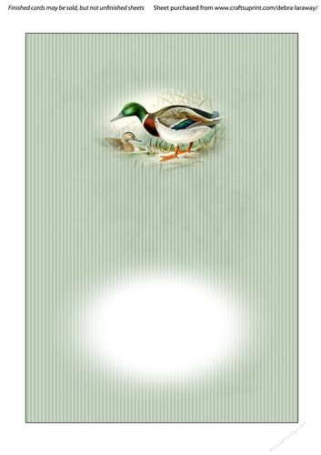 Mallard duck sportsman birds outdoors fathers day birthday card for men insert