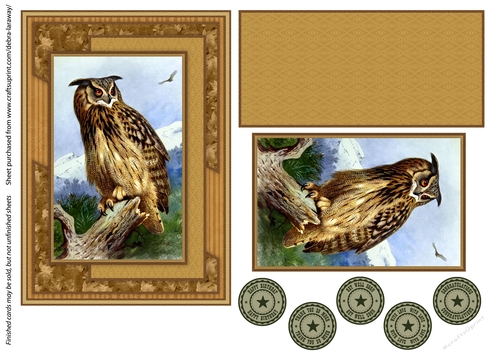 Wise owl wildlife nature outdoors scenic sportsman birthday card for men grandfather all occasion birthday male