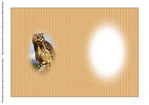 Wise owl wildlife nature outdoors scenic sportsman birthday card for men grandfather all occasion insert