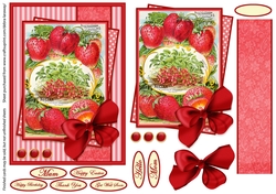 seed packet 3, strawberries, vintage, gardening, mothers day, Easter, get well, all occasion, flowers, mom, mum, birthday