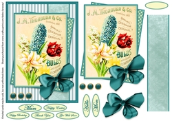 seed packet 6, vintage, gardening, mothers day, Easter, get well, all occasion, flowers, mom, mum, birthday