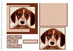 Beagle Puppy Square Card