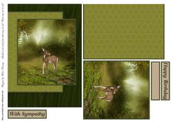 Scenic Sympathy 1