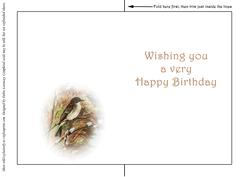 Seasonal Birds 2 Insert