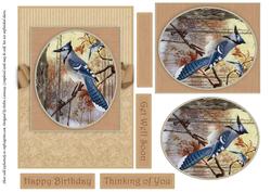 Seasonal Birds 3