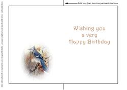 Seasonal Birds 3 Insert
