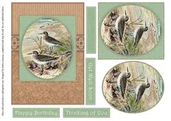 Seasonal Birds 11