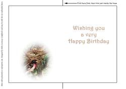 Seasonal Birds 12 Insert