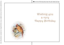 Seasonal Birds 5 Insert