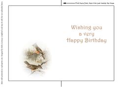 Seasonal Birds 7 Insert