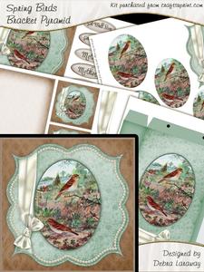 Spring Bird Bracket Pyramid Kit