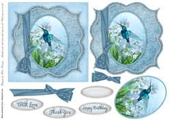 Square Bracket Blue Hummingbird