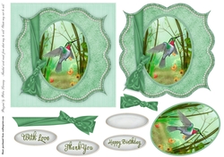 Square Bracket Green Hummingbird