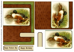Shoveler duck sportsman birds outdoors fathers day birthday card for men