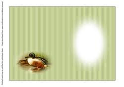 Shoveler duck sportsman birds outdoors fathers day birthday card for men insert
