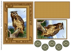 Wise owl wildlife nature outdoors scenic sportsman birthday card for men grandfather all occasion birthday male