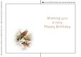 Seasonal Birds 1 Insert
