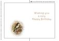Seasonal Birds 2 Insert