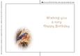 Seasonal Birds 9 Insert