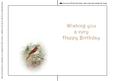 Seasonal Birds 10 Insert